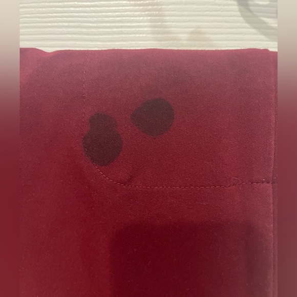 XL FIGS Catarina 1 pocket top XL FIGS Kade Cargo pant in Burgundy. STAIN on pant - Picture 5 of 6